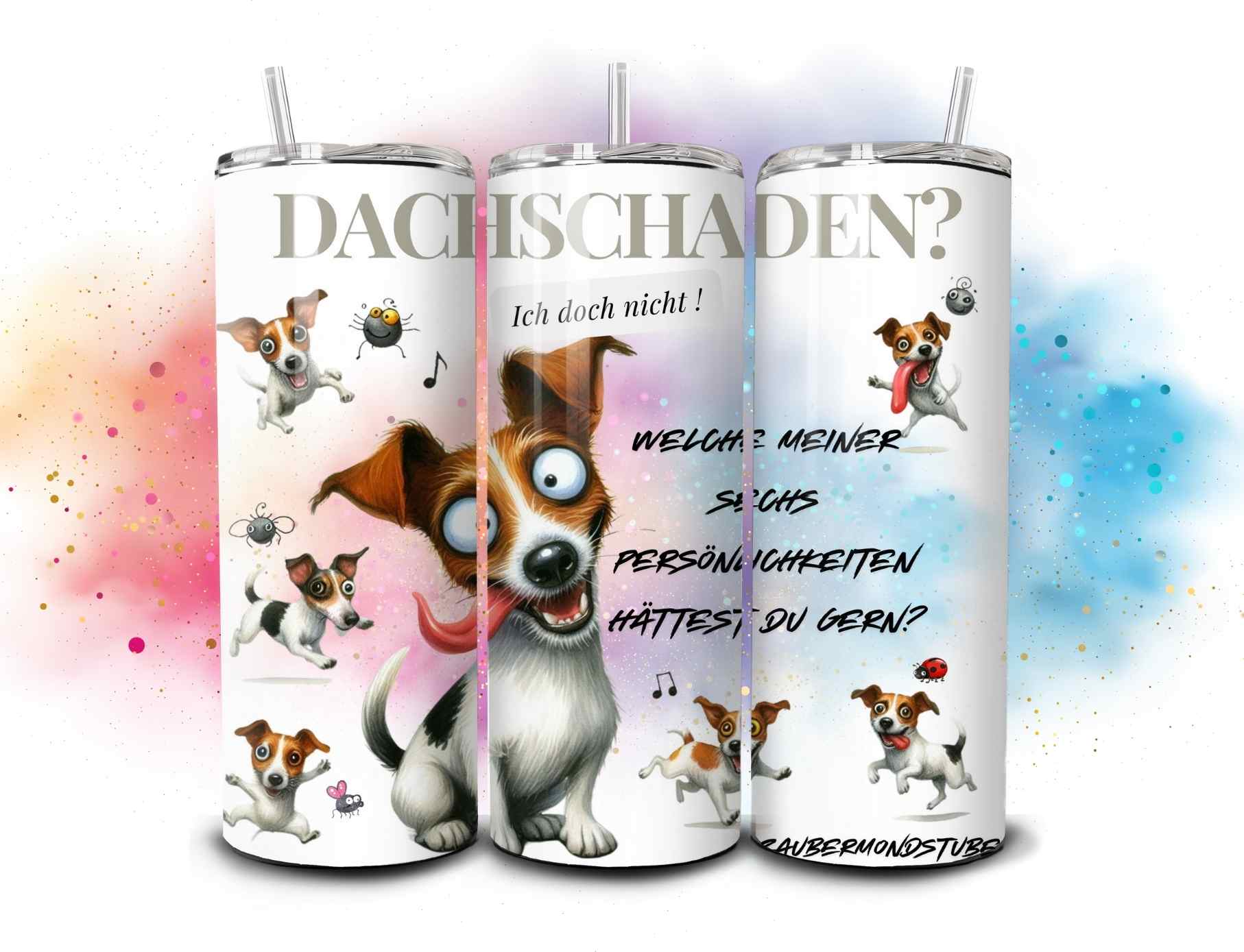 Dachschaden ?